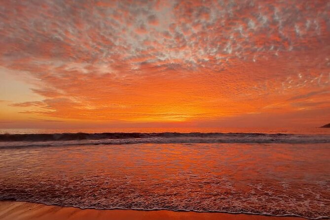 From Huatulco: Turtle Release & Bioluminescence - Turtle Release Experience