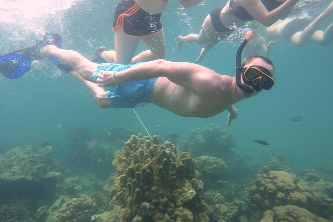 From Khao Lak : Full-Day Private Phi Phi Islands Speedboat Charter - Highlights of the Phi Phi Islands