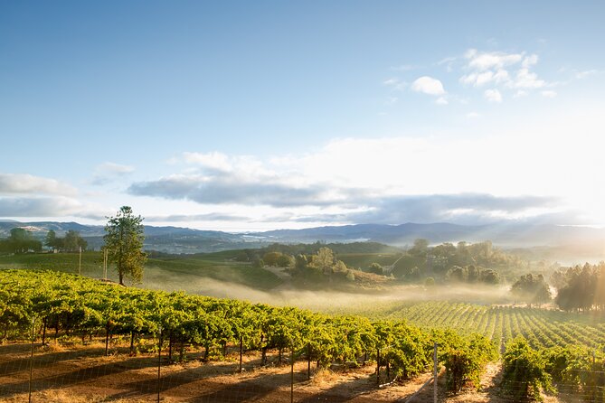From San Francisco: Napa/Sonoma Wine Tour & 2-Day Hop-on Hop-off - Pricing and Cancellation Policy