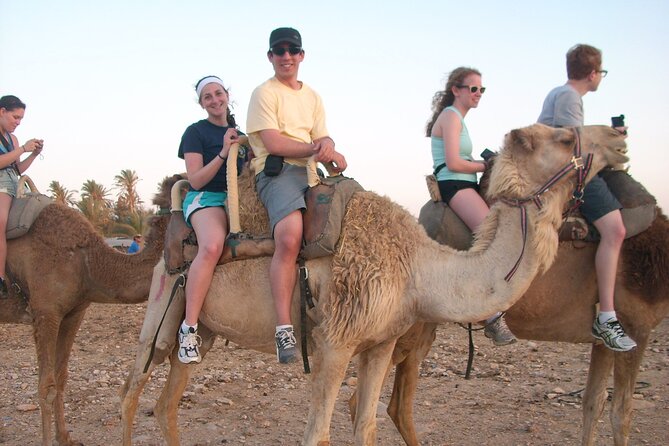 From Taghazoute : 2 Hours Agadir Camel Ride With Transfers and Tea Break - Frequently Asked Questions