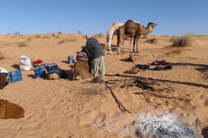From Tozeur: 3-Day Desert Trip - Health and Safety Guidelines