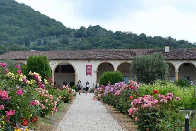 From Verona: Prosecco & Classic Method Sparkling Wine Tour, With Light Lunch - Enjoying Light Lunch