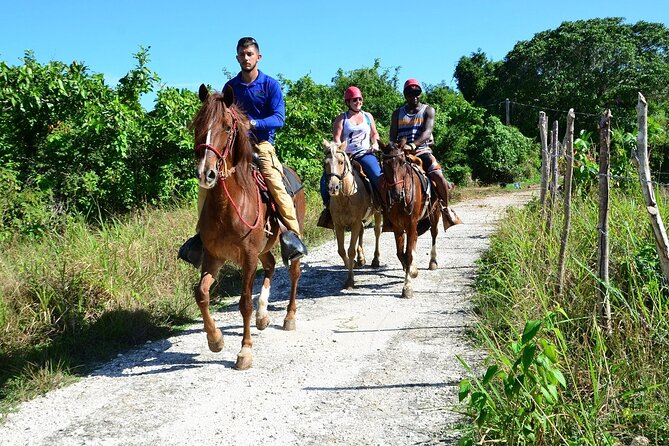 Full-Day Bavaro Adventure Park Packages From Punta Cana - Bavaro Stunning Jungle River