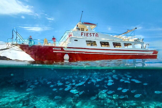 Full Day Boat Tour Transfers & Lunch Included - Traveler Photos and Reviews