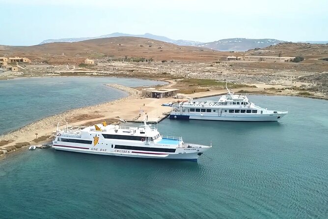Full Day Cruise to Delos and Mykonos Islands From Paros - Accessibility and Policies