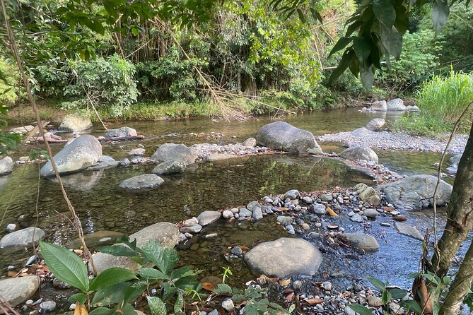 Full-Day El Yunque Rainforest Adventure From Carolina - Traveler Reviews