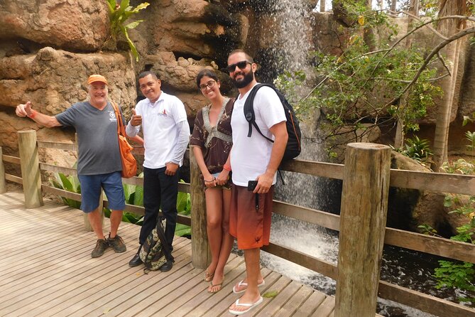 Full Day for Bird Watching With Visit to Isla Baru - Bird Watching Experience