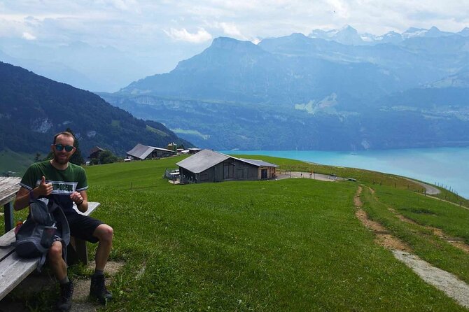 Full-Day Hiking Swiss Alps and Lake Lucerne With Pick-Up - Reviews and Feedback