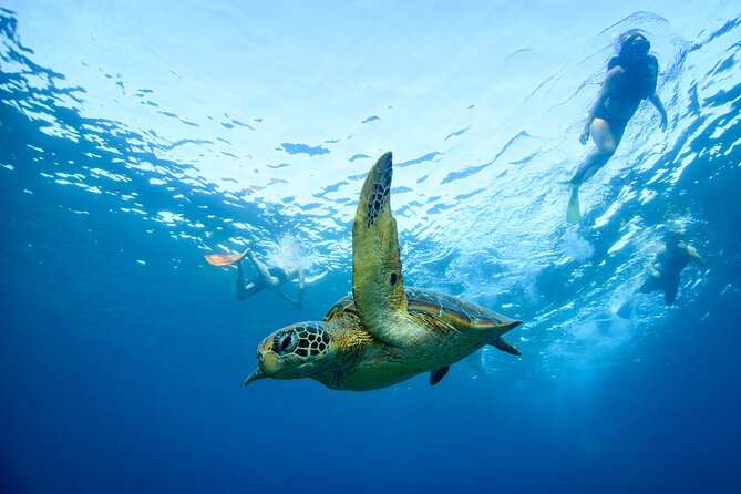 Full Day Land and Sea Tour to Nusa Penida With 4 Snorkeling Spots - Pricing Details