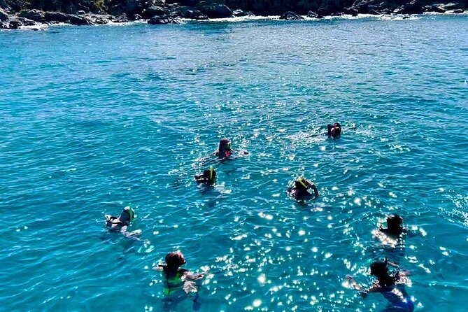 Full Day Luxury Catamaran Turtle Snorkel and Beach Getaway - Snorkeling and Turtle Spotting