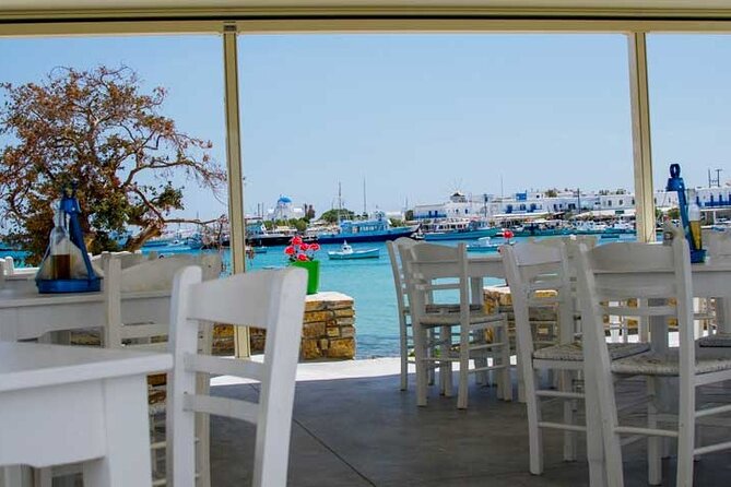 Full-Day Paros and Antiparos Islands French Tour by Bus - Accessibility Information
