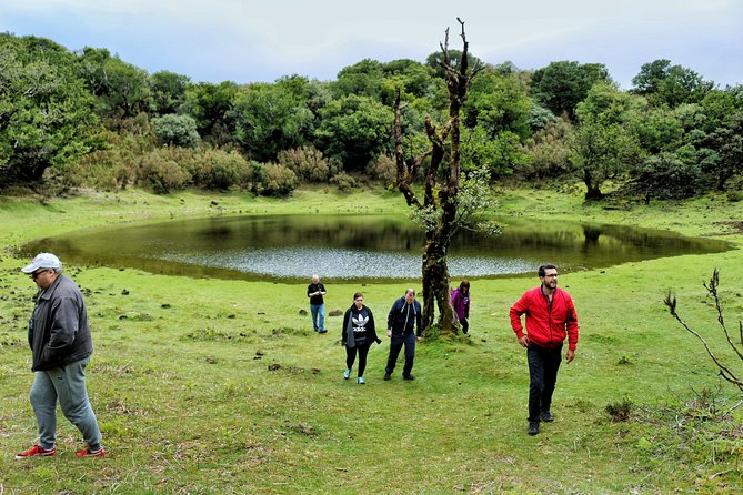 Full Day Private 4x4 Tour in West Madeira With Local Guide - Taking in Local Culture