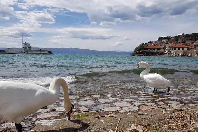 Full-Day Private Guided Cultural Tour of Ohrid From Skopje - Why Choose This Tour
