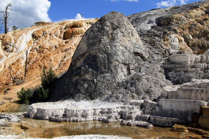 Full-Day Private Safari of Yellowstone - Booking and Cancellation Policy