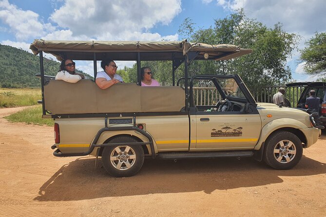 Full Day Safari From Johannesburg - Pilanesberg Nature Reserve - Reviews and Feedback