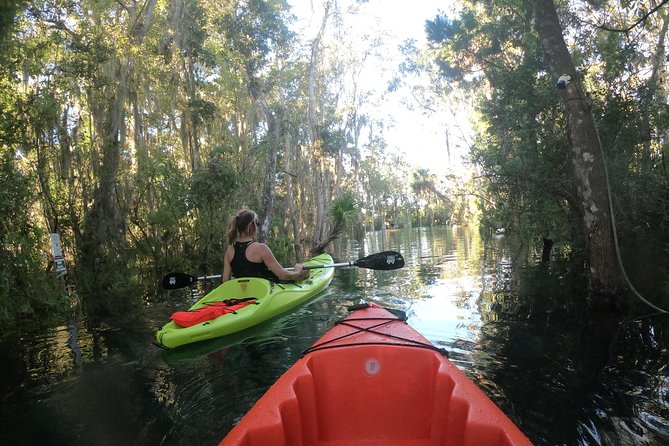 Full Day Single Kayak Rental In Crystal River - Kayak Features and Amenities
