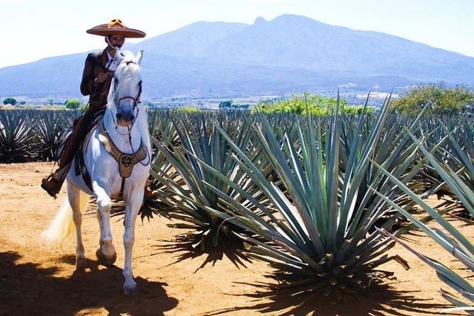 Full-Day Tequila, Jalisco From Puerto Vallarta With Tequila Experience - Exploring Ancient Ruins