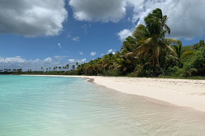 Full Day Tour to Isla Saona and Altos De Chavon - Negative Experiences