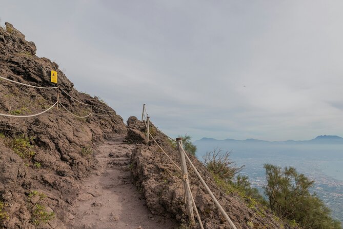 Full Day Tour to Pompeii, Vesuvius and Wine Tasting - Tour Schedule and Logistics