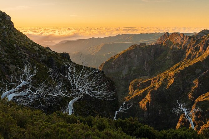 Full Day Tour to West Madeira Island - Accessible Pricing Information