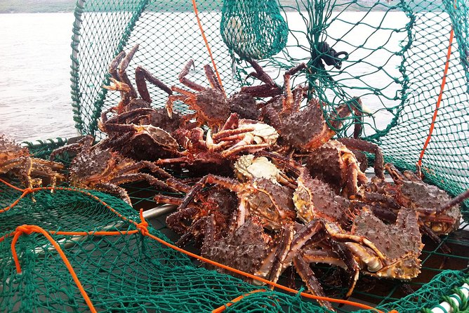 Full-Day Trip: King Crab Safari to Norway From Saariselkä Including Lunch - Sightseeing Opportunities