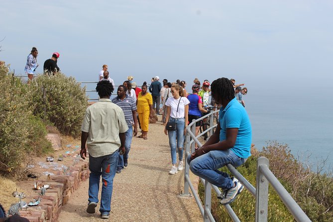 Full Day Visit to Cape Point Cape of Good Hope for Special Needs From Cape Town - Booking Process