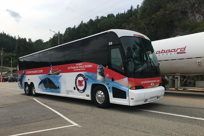 Full-Day Whale Watching Cruise From Quebec City - Wildlife Spotting Opportunities