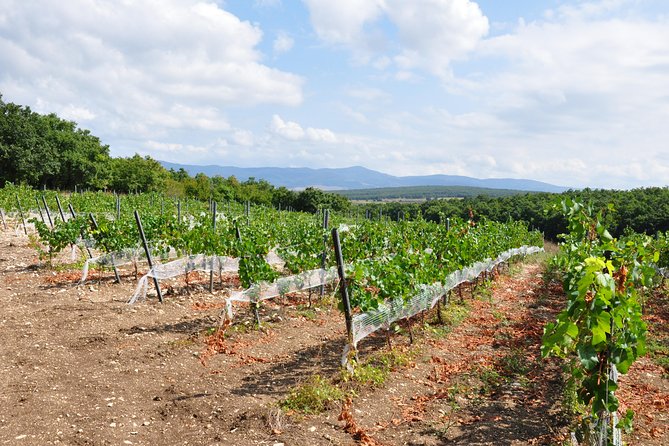 Full-Day Wine Tour From Istanbul - Important Details