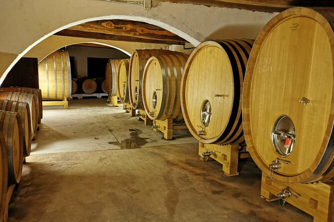 Full Day: Wine Tour of the Cassis Vineyards - Winemaking Process Exploration