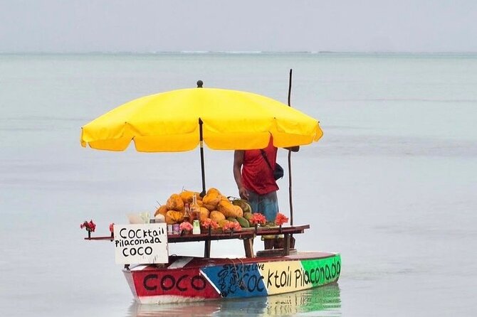 Fully Day Tour: Dolphin Encounters, Crystal Rock at Benitiers Island - Tips and Recommendations