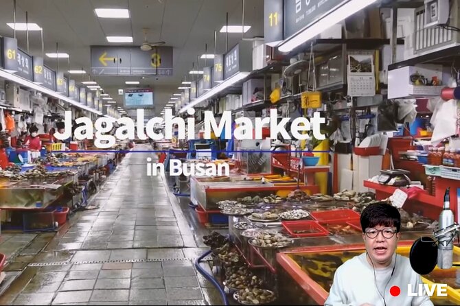 Fun & Informative Busan in Korea Virtual Tour - Customer Reviews and Feedback