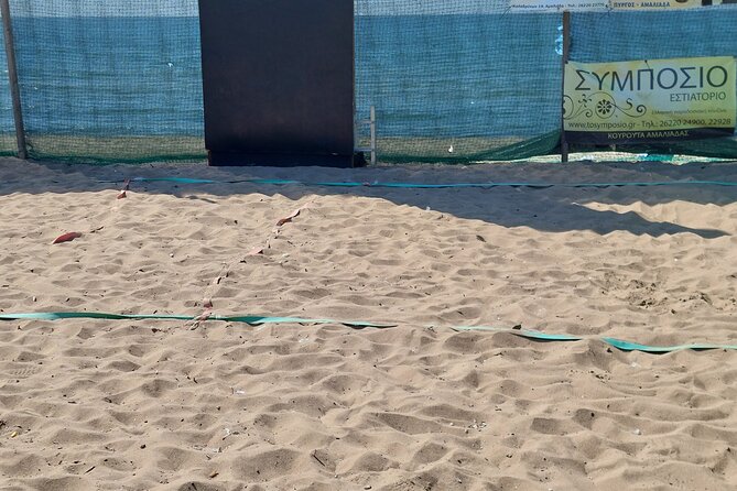 Fun With Familys (Sports or Beach) From Katakolo Greece - Activity Highlights