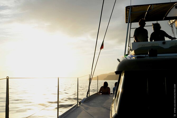 Funchal: Luxury Catamaran Sunset Cruise Open Bar - Wildlife Sightings