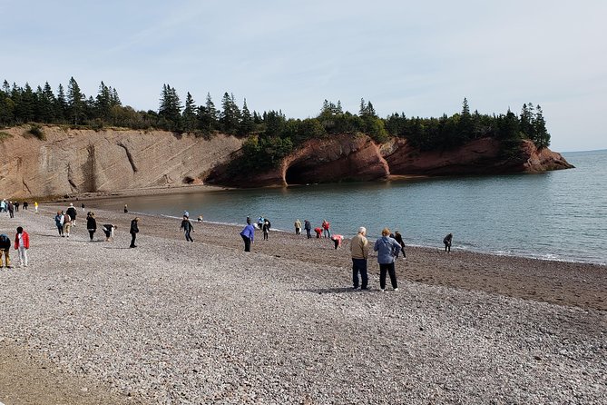 Fundy Coast to Fundy Shore Tour - What to Expect on Tour