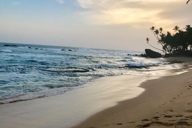 Galle Day Tour via Hikkaduwa Beach - Booking and Pricing Information