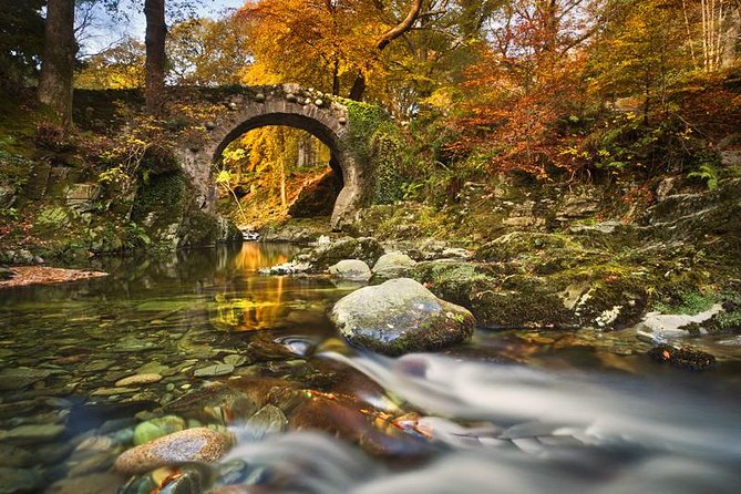 Game of Thrones - Tollymore Forest Trek - Taking in Westeros Wilderness