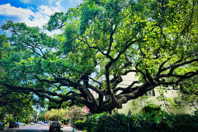 Garden District Walking Tour - Frequently Asked Questions