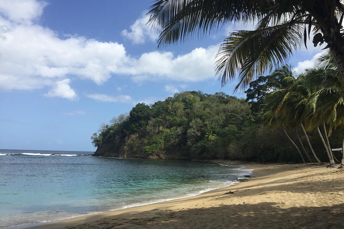 German-Speaking Island Tour - Accessibility and Participation
