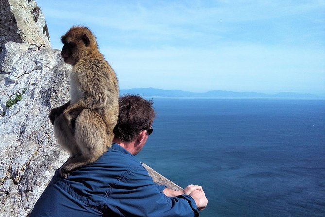 Gibraltar Private Tour From Marbella or Malaga - Additional Information
