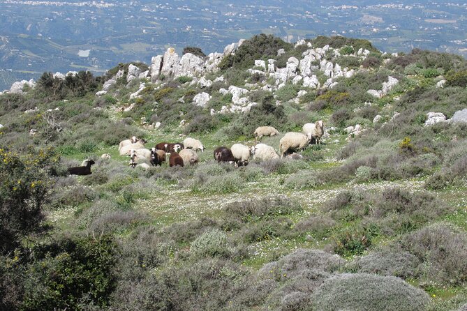 Giouhtas Mount Trekking - Additional Considerations
