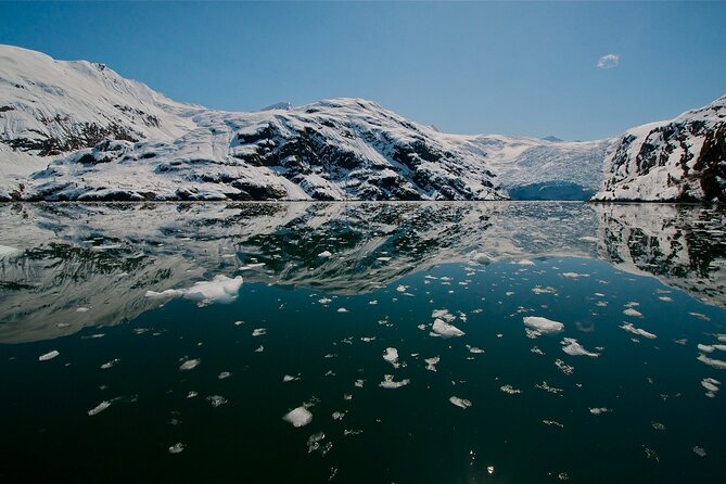 Glacier Quest Cruise and Coach Package - Things To Known