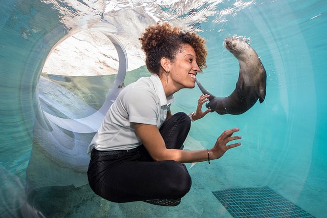 Go City: Miami All-Inclusive Pass With 25+ Attractions and Tours - Limitations of the Pass