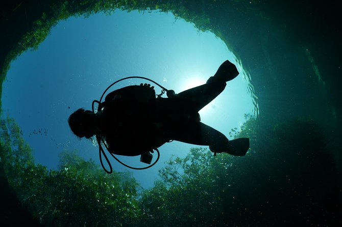 Go Dive Cenotes in Tulum - Cenote Diving Experience
