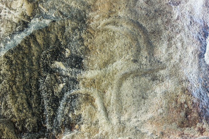 Gobustan, Mud Volcanoes, Fire Temple, Fire Mountain PRIVATE TOUR - Customer Testimonials