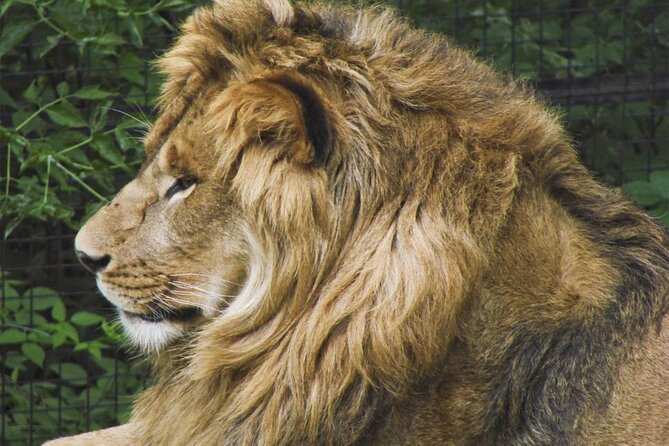 Granby Zoo 1 Day - Zoo Highlights