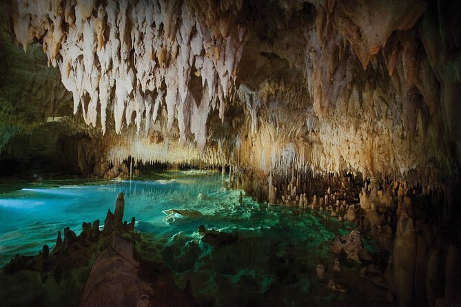 Grand Cayman Private Customized Bus Tour - Group Size and Pricing