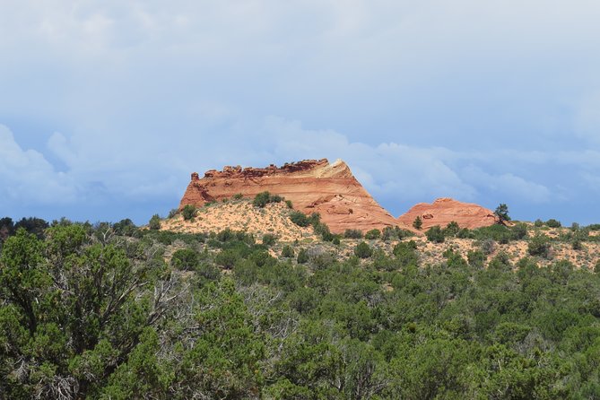 Great Chamber Tour - Scenic Highlights