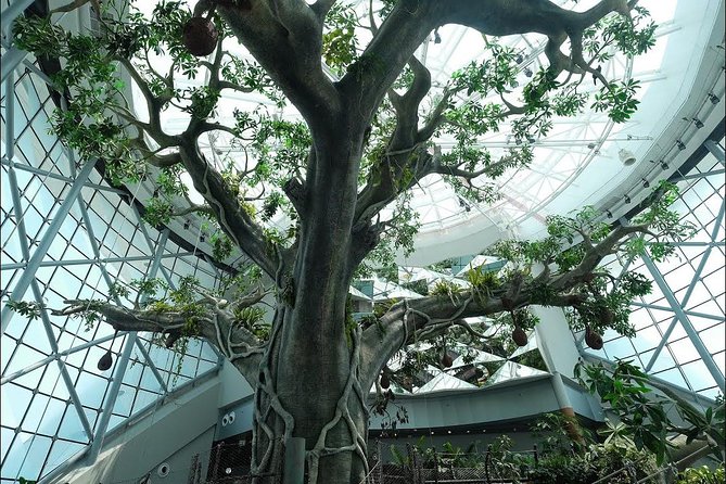 Green Planet Dubai Day Ticket With Pickup and Drop off - How to Book