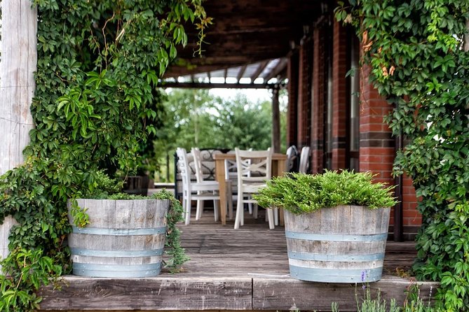 GROUP - Et Cetera and Purcari Wineries - Accessibility and Requirements