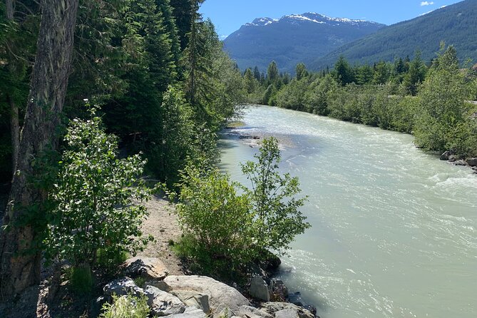 Guided Bike /E-bike Tour in Whistler From Vancouver - Highlights of the Tour